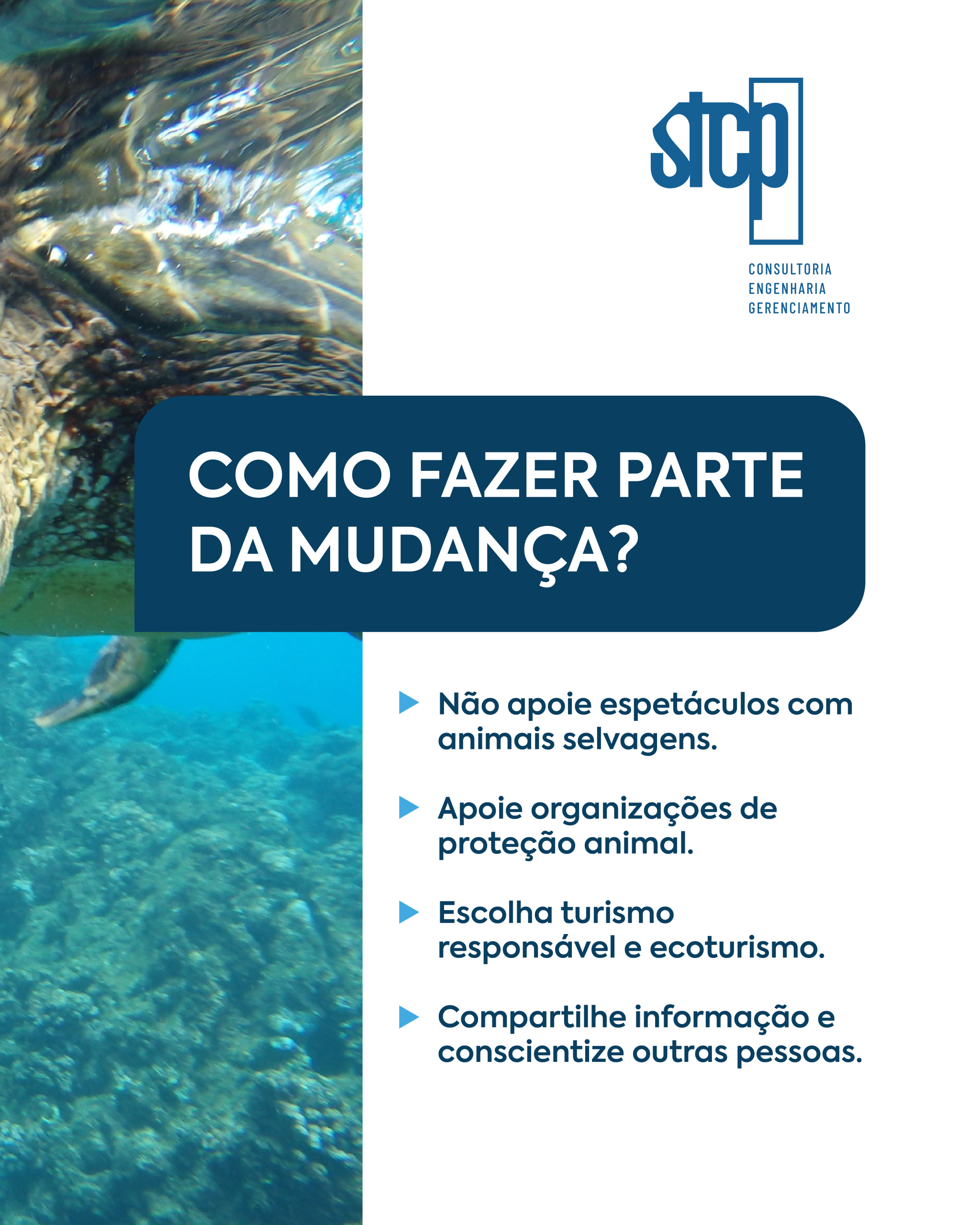 STCP_Sazonal_v1_5 (1)