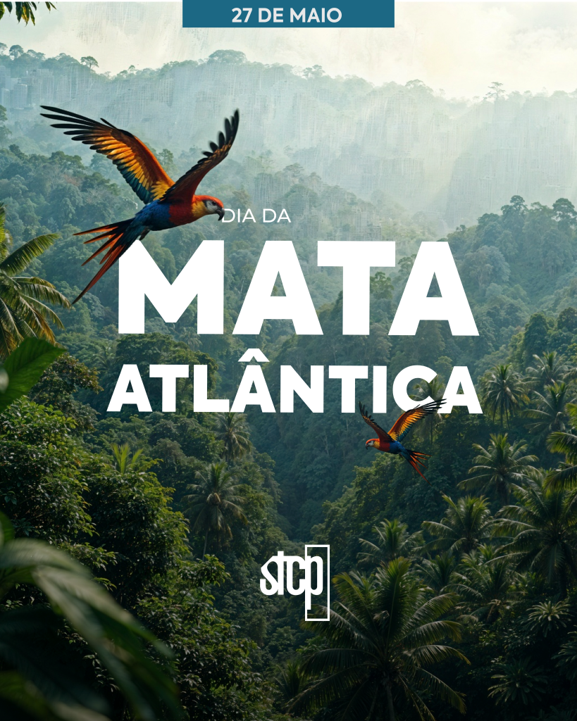 Dia Nacional da Mata Atlântica: Restauração ambiental, conservação da biodiversidade e recuperação da paisagem.​