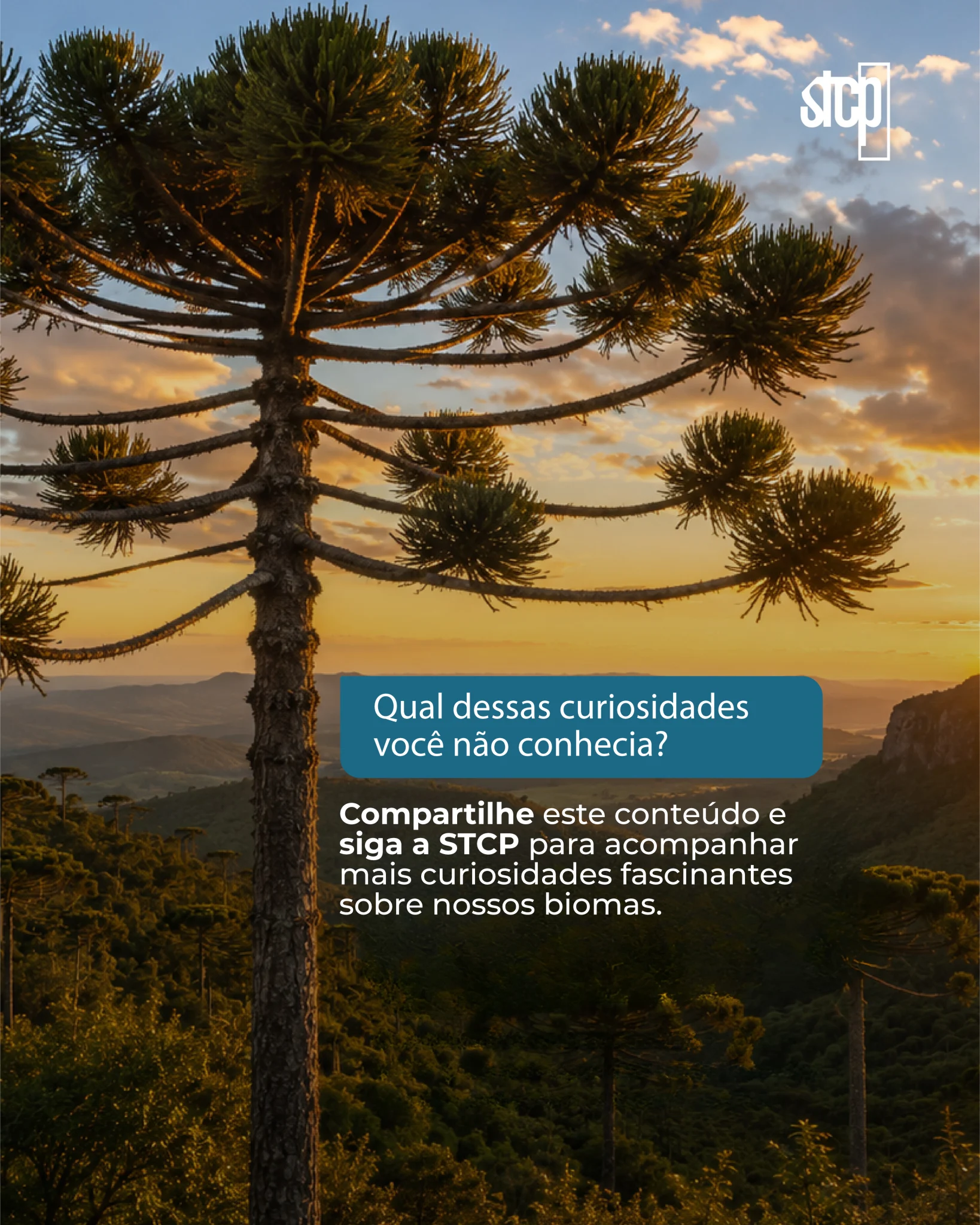 Design-sem-nome-_88_