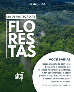 17 de Julho | Dia de proteção às florestas