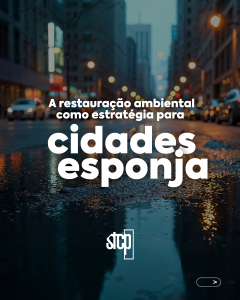 A Restauração Ambiental como estratégia para Cidades Esponja 🌧️
