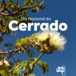 Dia do Cerrado: restauração ambiental e o desafio de recuperar um bioma essencial para o Brasil
